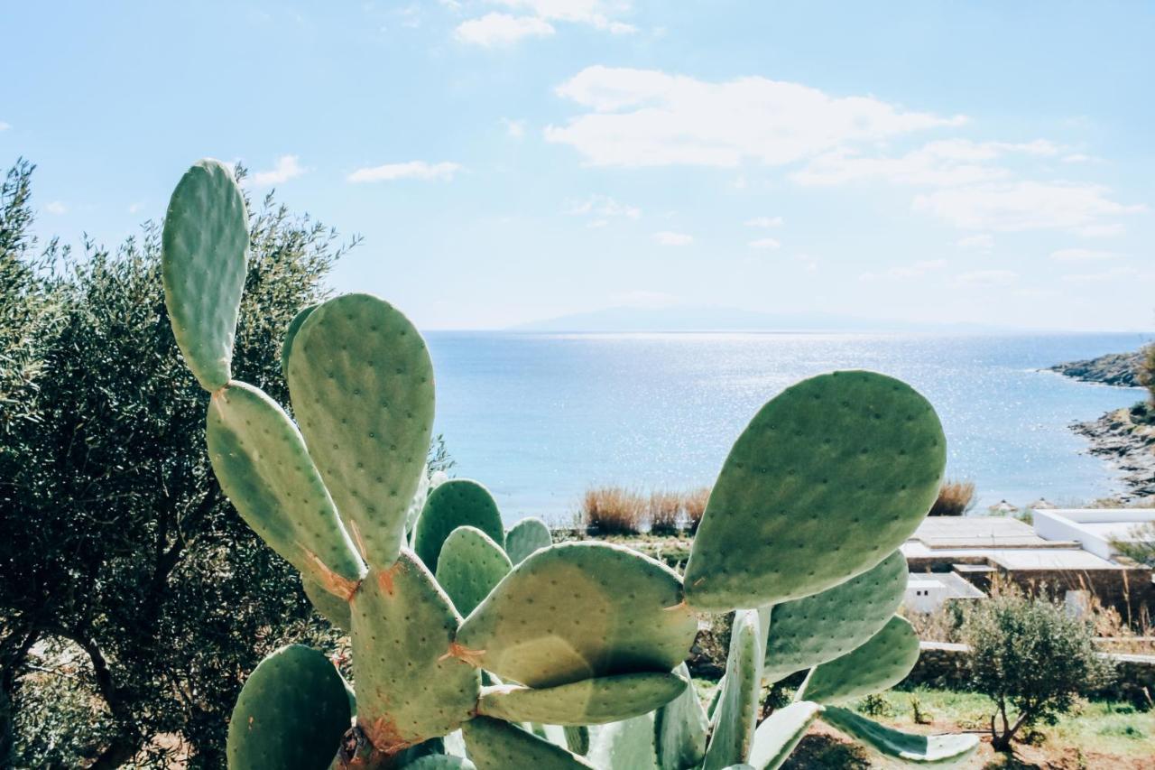 オルノス The Elaia House Mykonosヴィラ エクステリア 写真