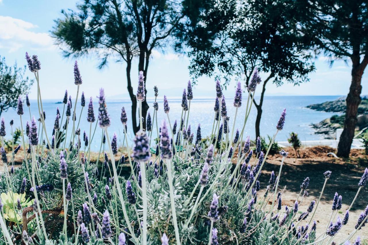 オルノス The Elaia House Mykonosヴィラ エクステリア 写真